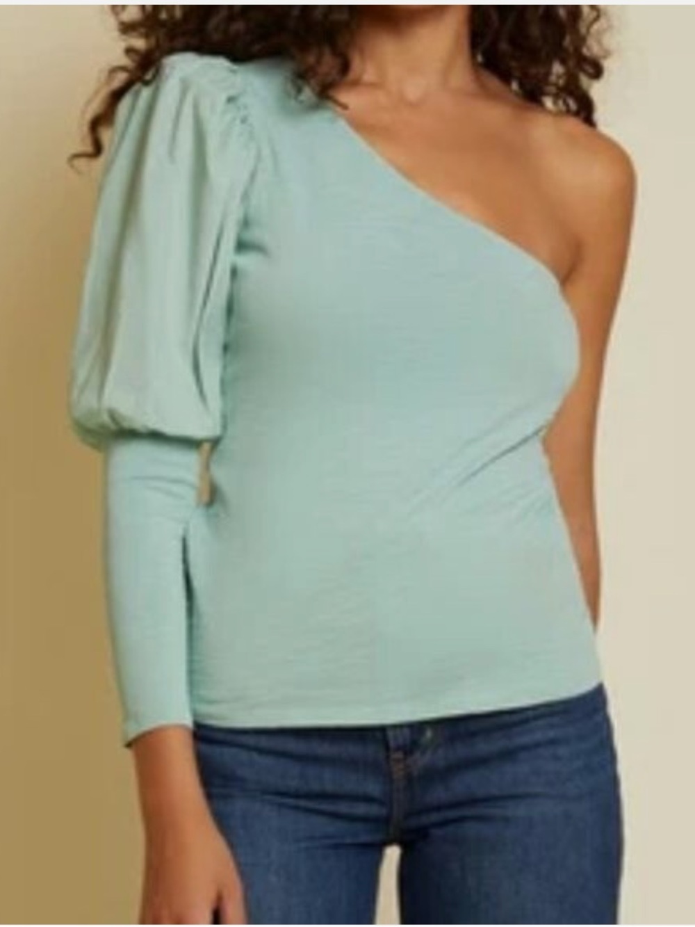 NWT Nation LTD Zahira One Shoulder Puff Sleeve Top Size M